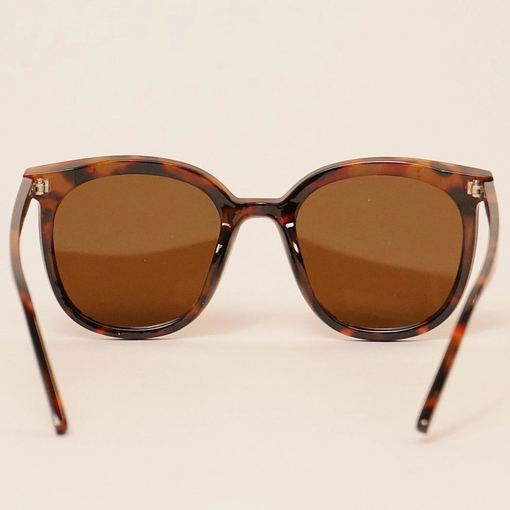 Shading Rays Sunglasses
