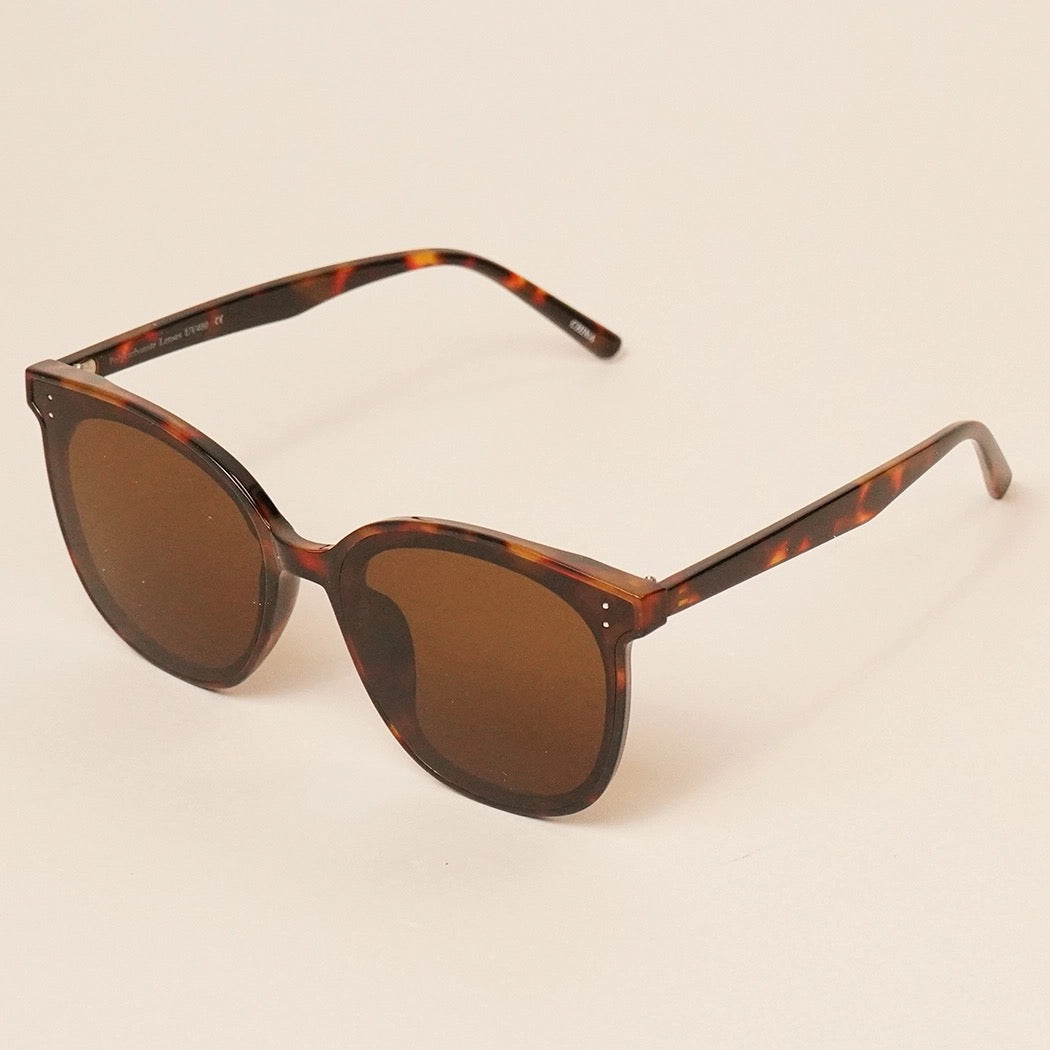 Shading Rays Sunglasses